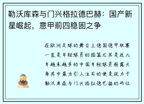 勒沃库森与门兴格拉德巴赫：国产新星崛起，意甲前四稳固之争